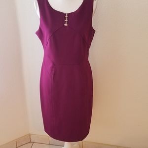 Ivanka Trump Plum Dress